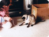CCI06012010_00034