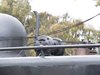 DSCF0459