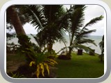 IMG00002 (2)