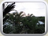 IMG_0245