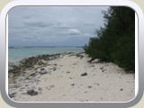 IMG_0354